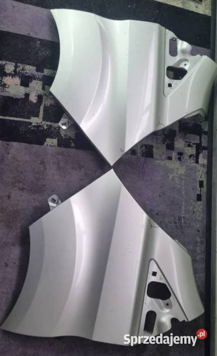 Błotniki ford transit turnneo custom lift super Żórawina sprzedam