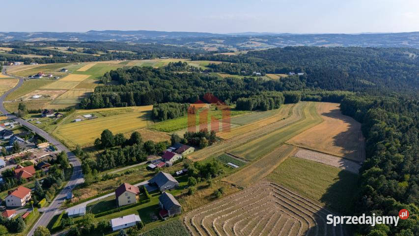 Działka Gnojnica 13000m2