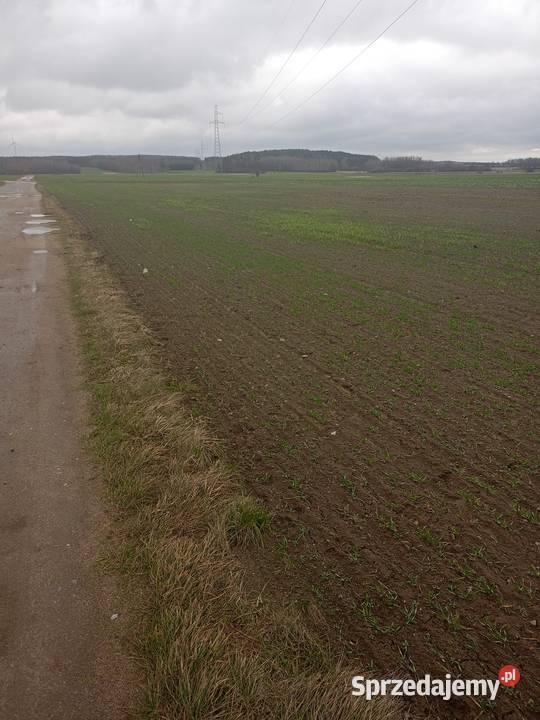 MławaNowa Wieś 036 ha dojazd rolna Mława