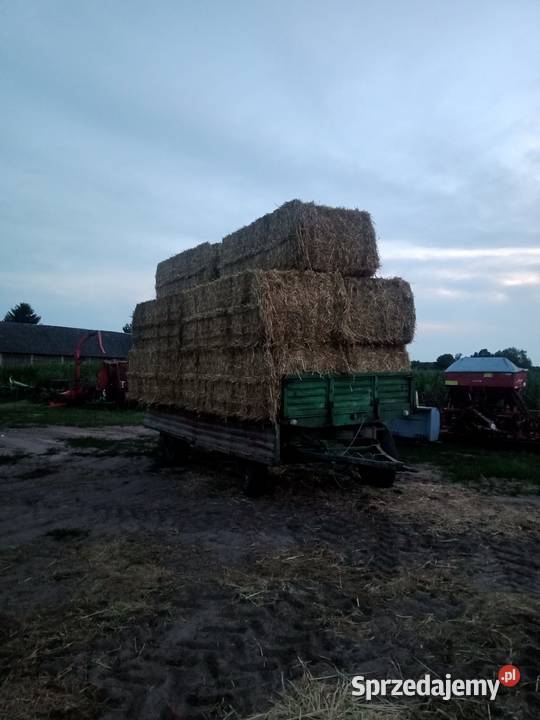 Przyczepa sztywna d 50 podlaskie Białystok