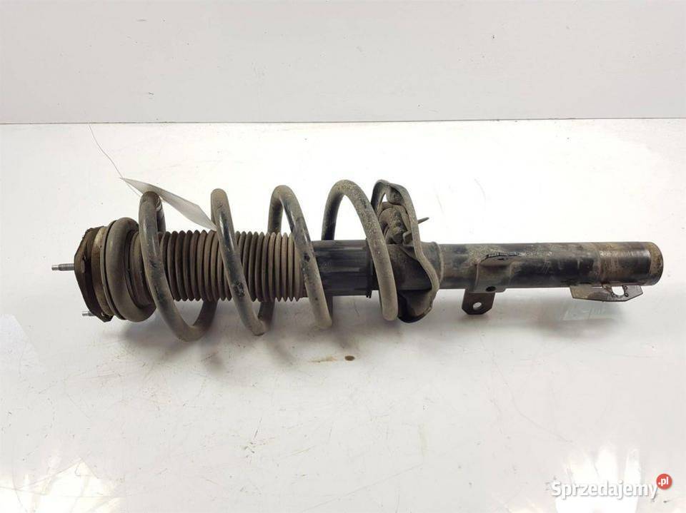 AMORTYZATOR PRAWY PRZÓD FORD TRANSIT MK8 osobowe kujawsko-pomorskie Lipno