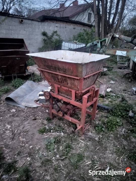 Motyl Miłochniewice