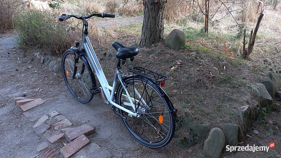 Alu Rower Miejski Damski Curtis Damka Nexus 7 Wołów