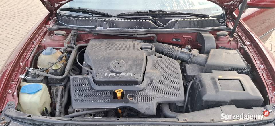 Seat Leon 2001r 16 Benzynaokazja Hatchback Rybnik