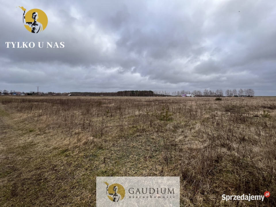 DZIAŁKA MORZA WZ ZABUDOWY 3 DOMKI 1501m2 Słajszewo