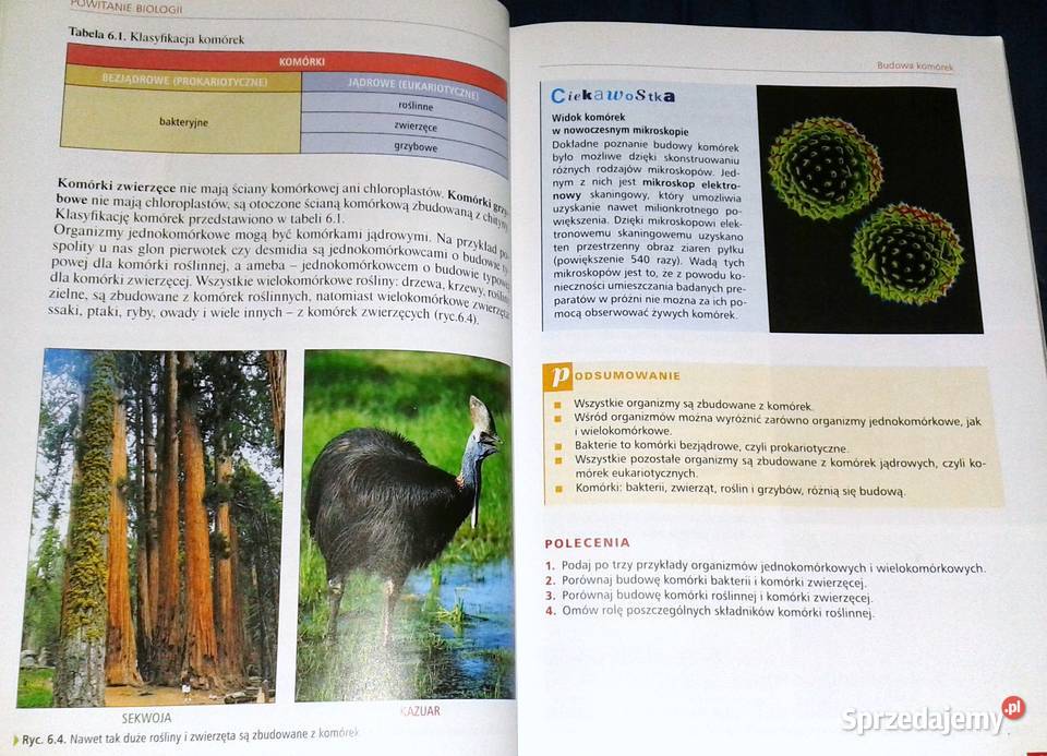 Ciekawa Biologia 1 Podręcznik Ewa Kłos lubelskie Chełm sprzedam