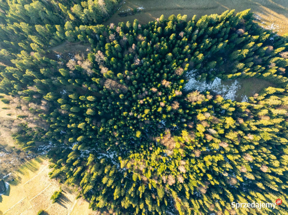 LAS Harklowa małopolskie