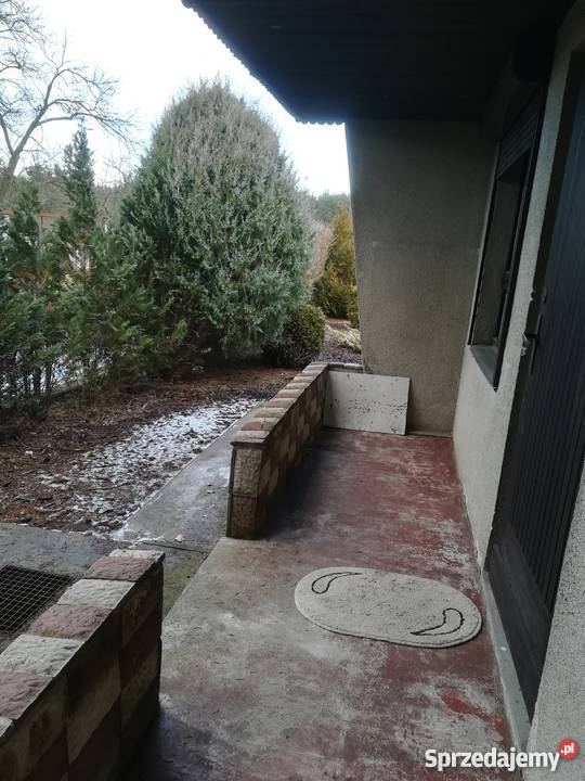 Murowany domek na działce ROD na Darzynce Poznań