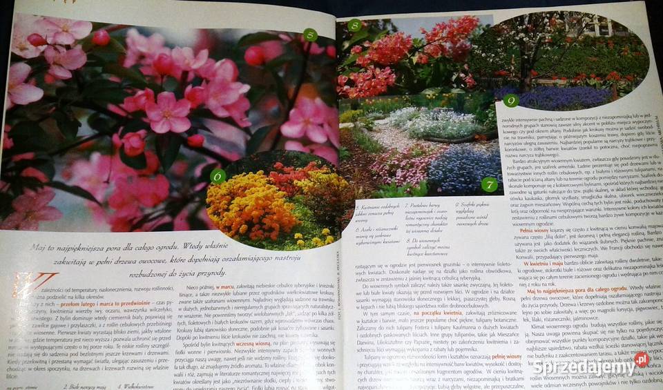 Działkowiec specjalny 12342004 Książki i Podręczniki Chełm