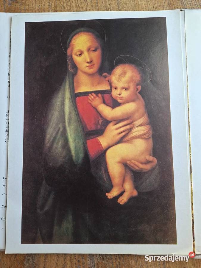 Raffael Książki naukowe i popularnonaukowe Kraków sprzedam