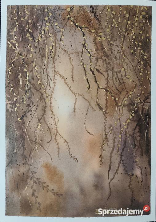 Akwarela Akwarelka Obraz pt Zaczarowany Ogród 2 Olchowiec