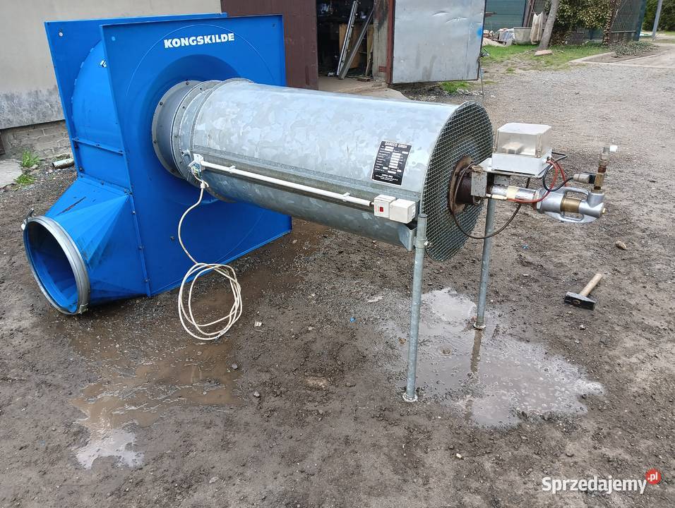 Suszarnia daszkowa Kongsklide 15 ton lubelskie