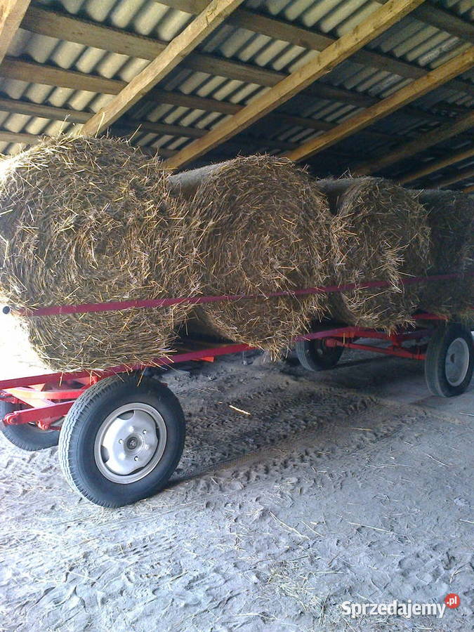 Przyczepalawetana bele na slomę i nie Wisznice