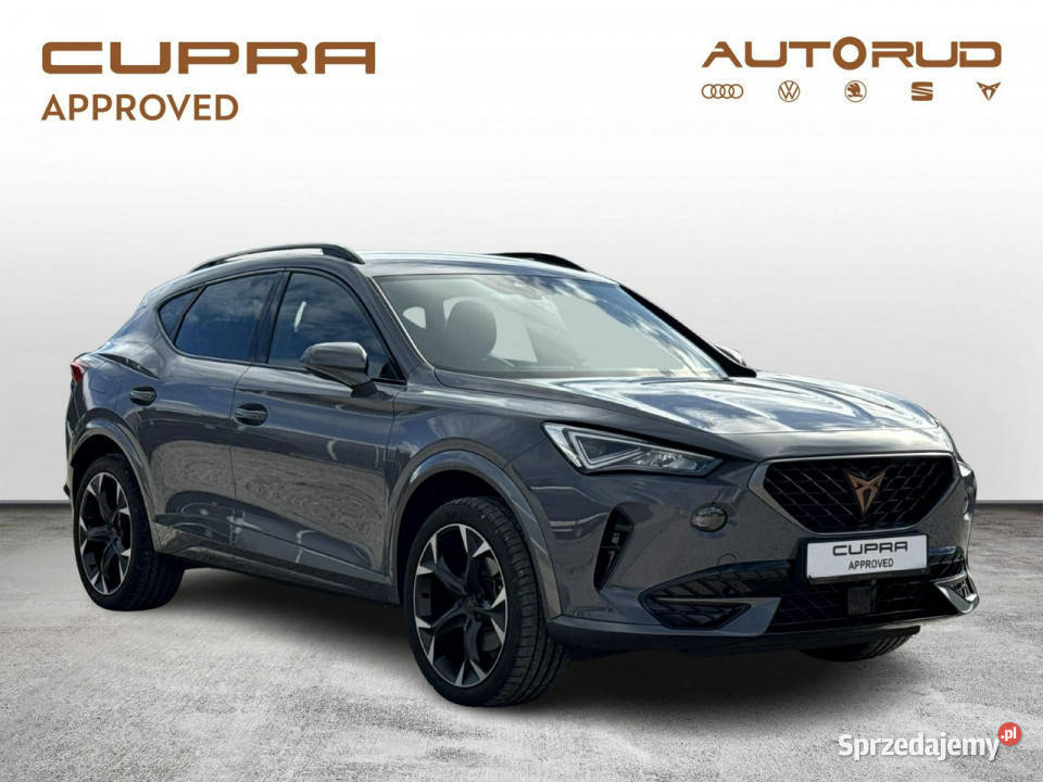 Cupra Formentor 15TSI 150 DSG 2024 Bezwypadkowy świętokrzyskie