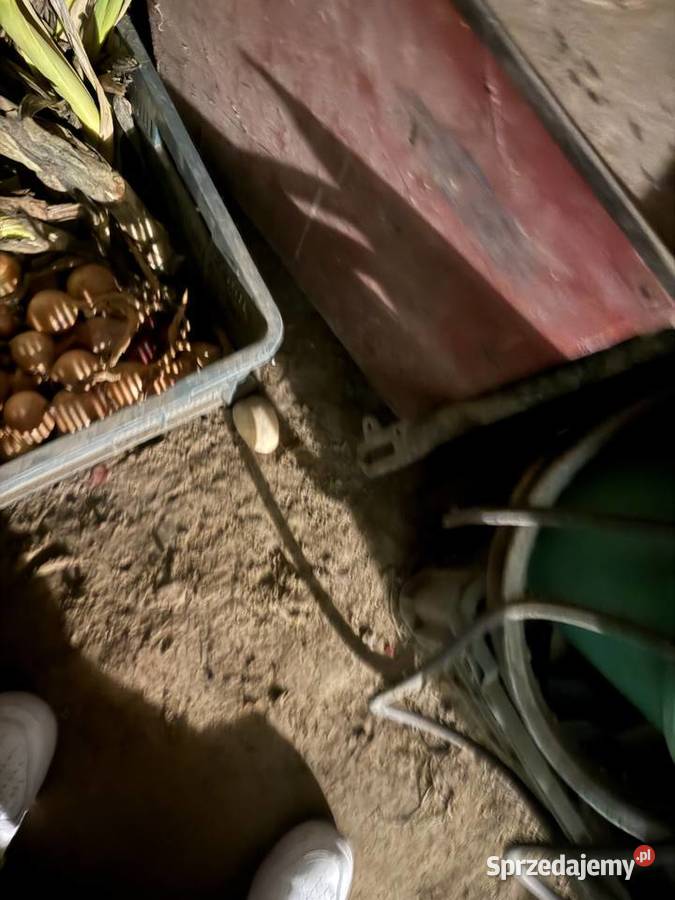 Zgrzewarka punktowa Typ RZP 2A