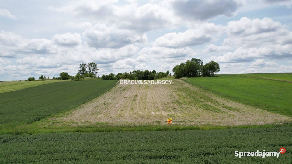 Działka 30500m2 PrandocinIły rolna sprzedam