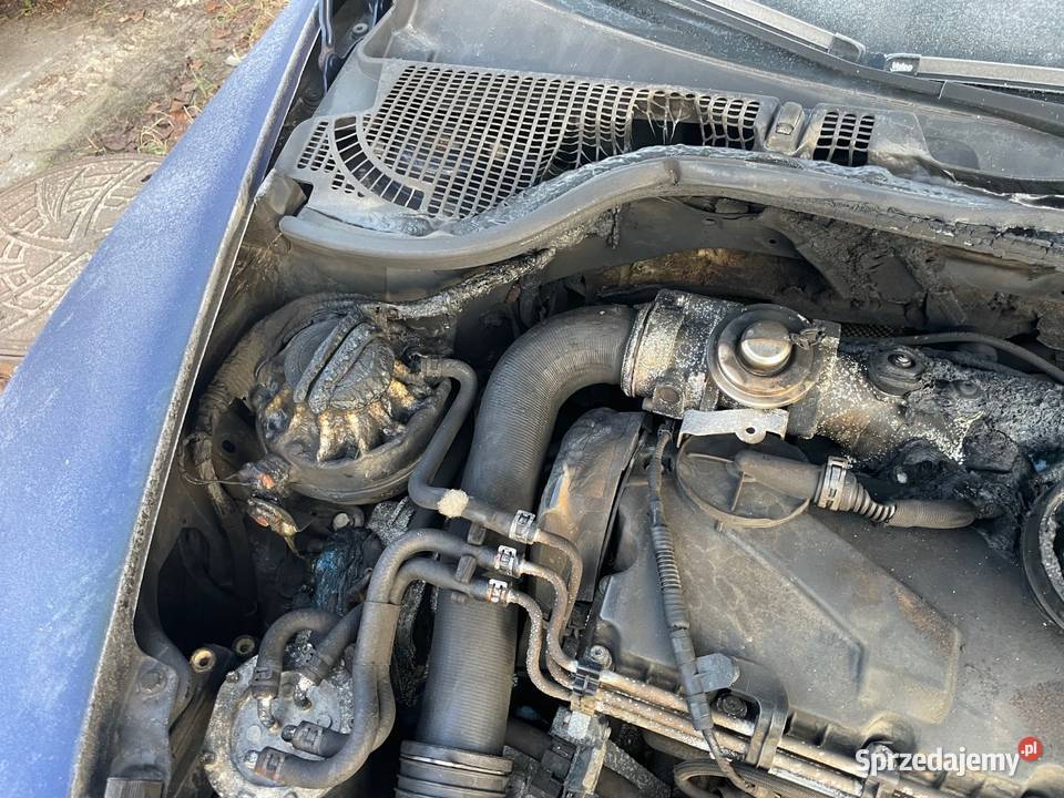 Skoda octavia 2 19tdi 1900cm3 kujawsko-pomorskie Toruń