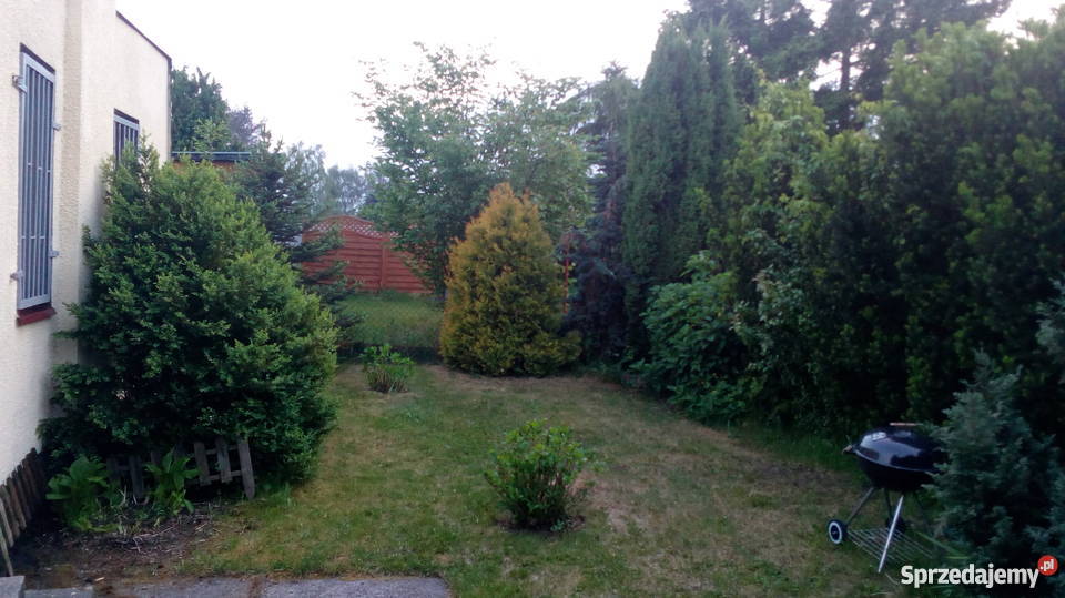 Działka ROD Poznań Złotowska utwardzona sprzedam