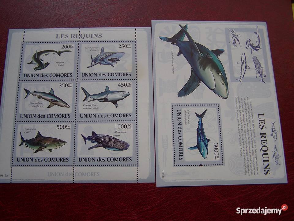 Komory 2009 MNH Fauna Rekiny Tychy