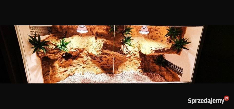 Terrarium gekona lamparciego żółwia greckiego Krotoszyn