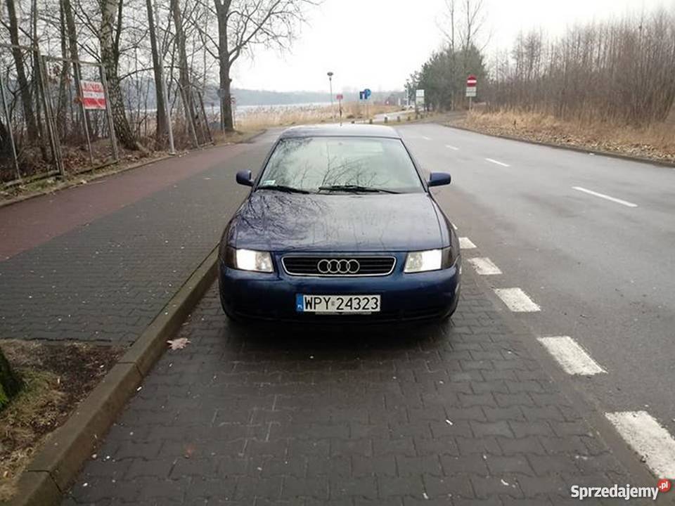 Audi A3 19 TDI 110 Zychorzyn-Kolonia