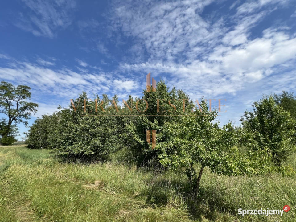 Działka rolna 35 ha Dojazd asfaltowy mazowieckie