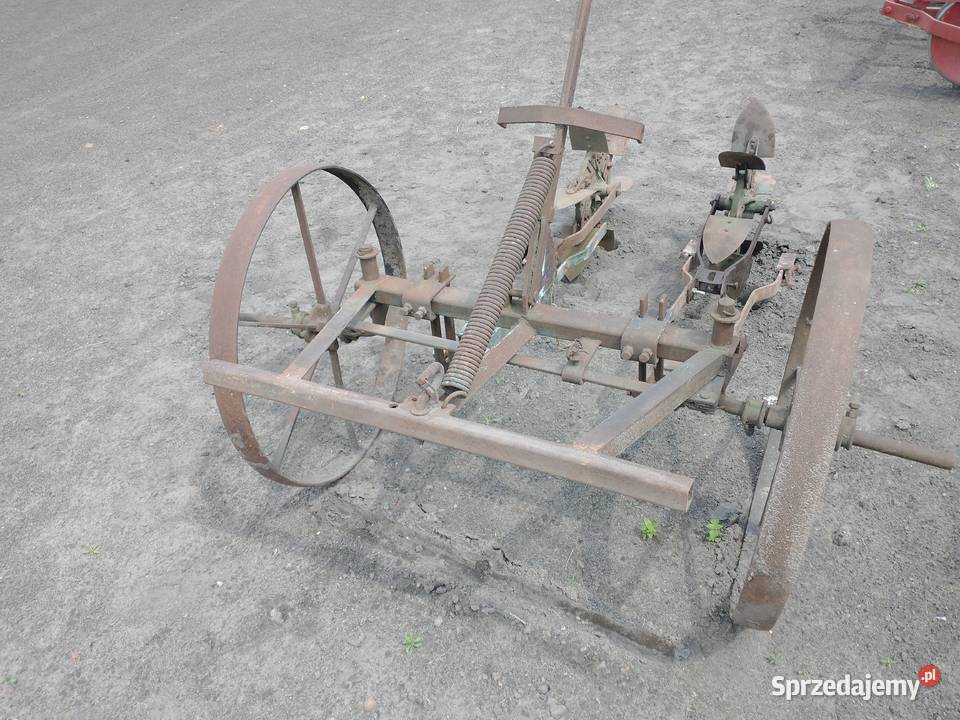 Myjka do warzyw Warszawa Raszyn