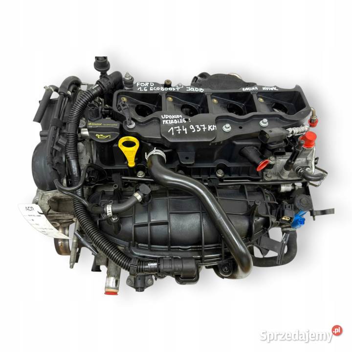 SILNIK JQDB Ford Focus III MK3 C 16 EcoBoost T Silniki i osprzęt Chełm sprzedam
