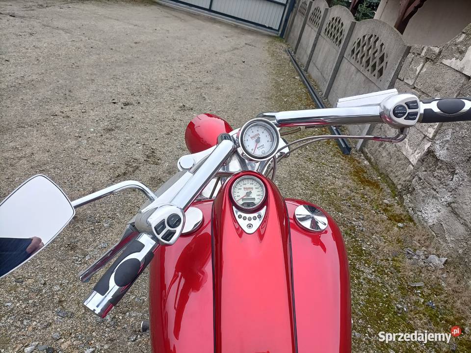 Big Dog Mastiff Harley wwwmotobazarprl Padniewko