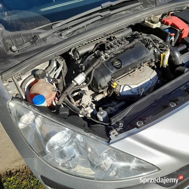 sprzedam zamieniem na droższy kujawsko-pomorskie Borówno sprzedam