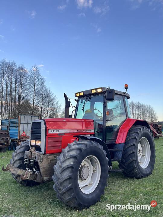MASSEY FERGUSON 8120 mazowieckie Zbuczyn