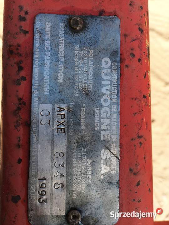 Talerzówka quivogne