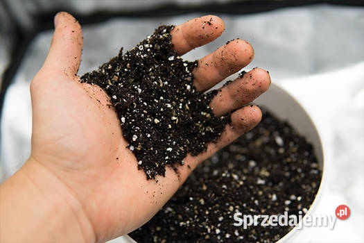 Perlit AGRO Ogrodniczy workowany 125l frakcja Biłgoraj