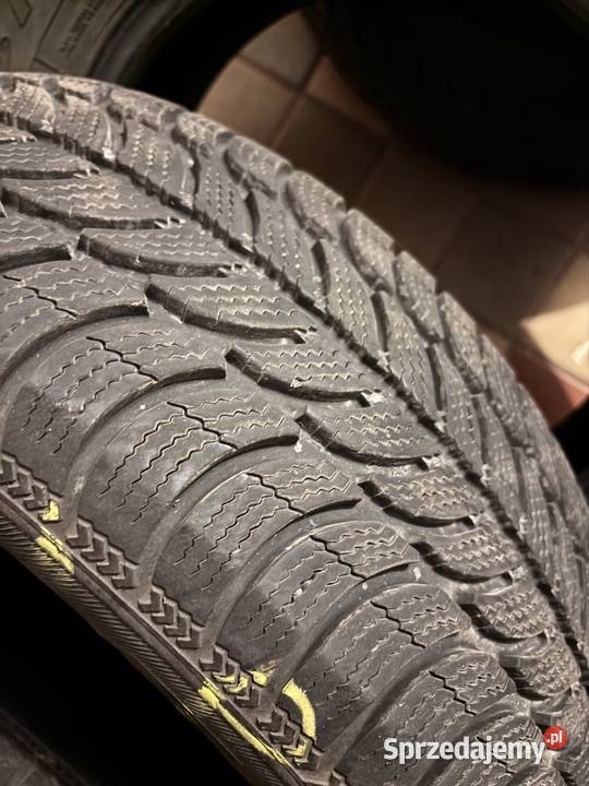 Opony zimowe Debica Frigo 19565R15 195