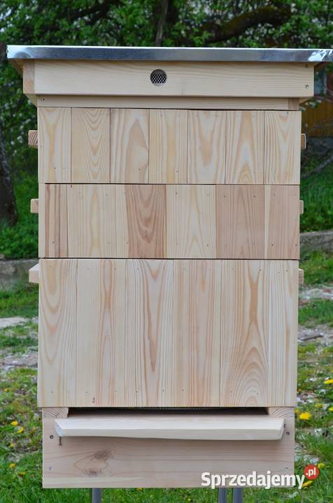 Ule wielkopolskie Chełm sprzedam