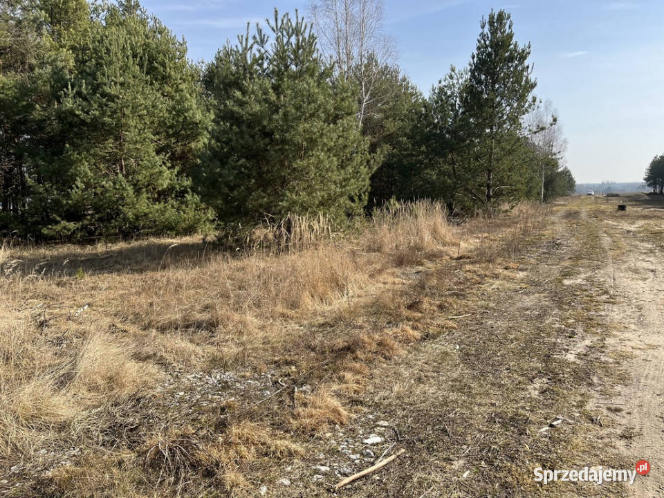 Działka z WZ w Wólce Gonciarskiej gm Kazanów Wólka Gonciarska