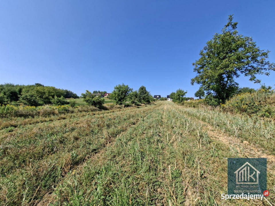 sprzedaży działki Bodzanów 5890m2 22m