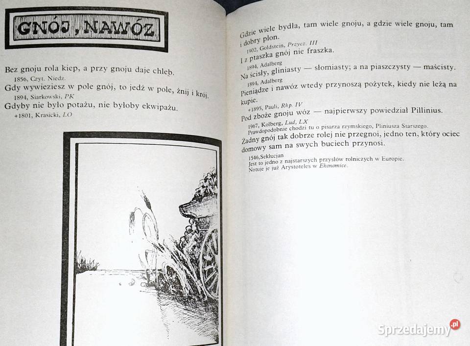 płaci traci Stanisław Świrko miękka