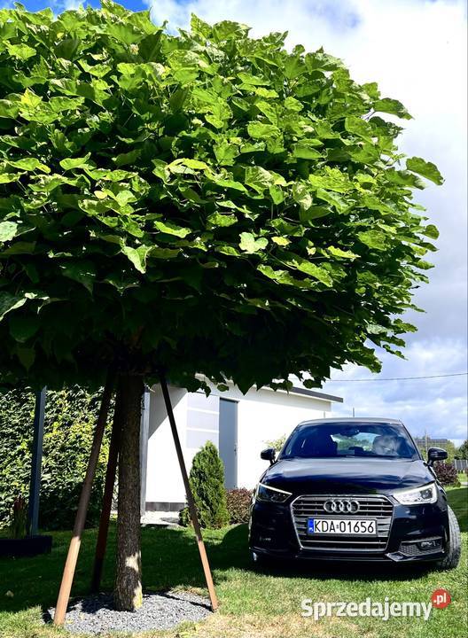 Audi A1 Sline 2016 Bixenon Skóra alu18 Pb komputer pokładowy Audi Luszowice