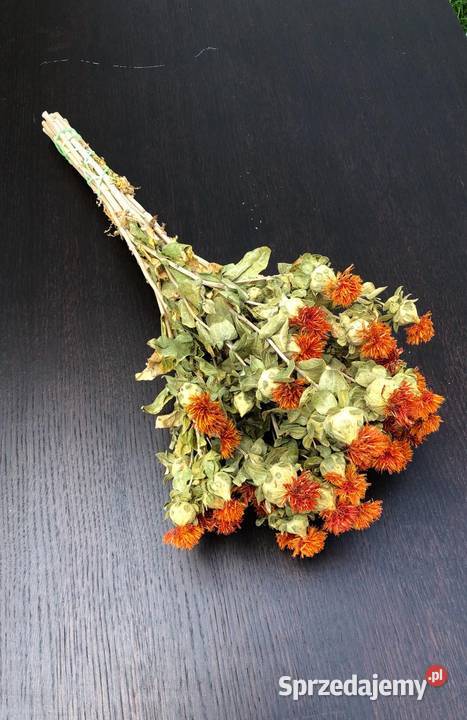 Naturalny KARTAMUS PĘCZKI kwiatowe Kompozycje kwiatowe Lublin