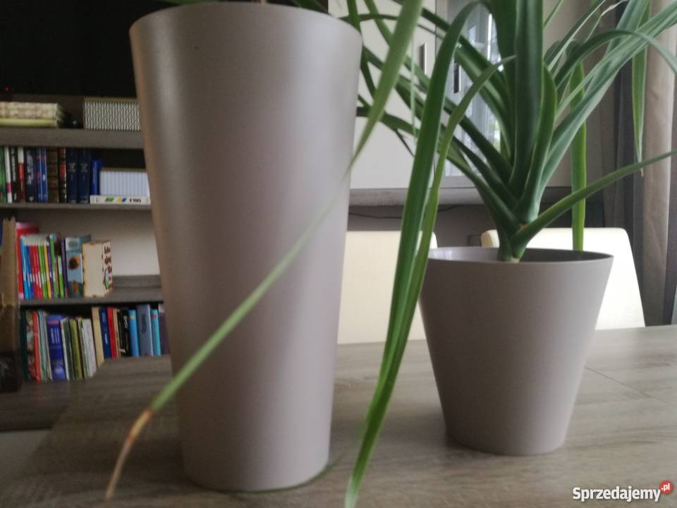 Meblościanka narożnik szafa narożna Tenczynek sprzedam