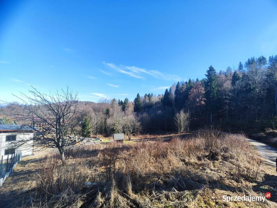 Działka lesie w górach dolnośląskie