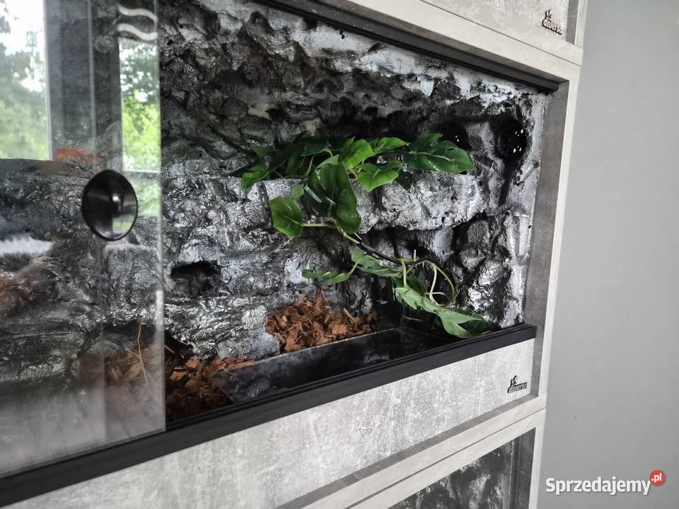 Terraria plyta meblowa diversa świętokrzyskie Sędziszów sprzedam