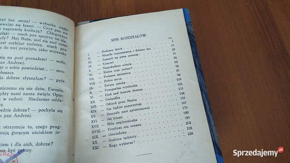 W jasnym domu powieść młodzieży Stanisław Gdańsk