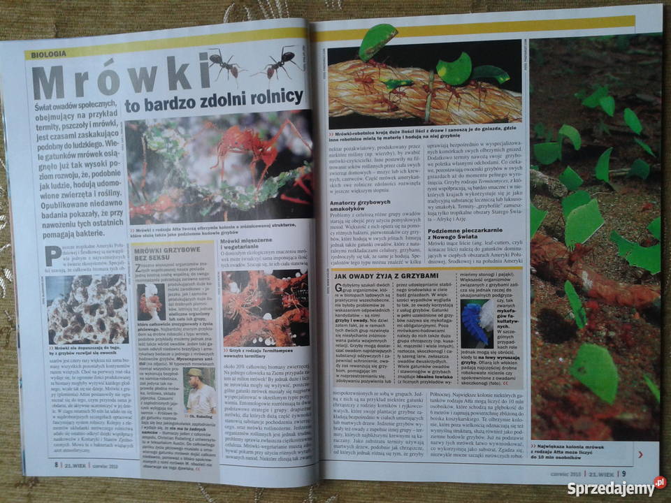 21 WIEK 6 2010 BROŃ W WALCE Z ŁUSZCZYCĄ miesięcznik Piszczac sprzedam