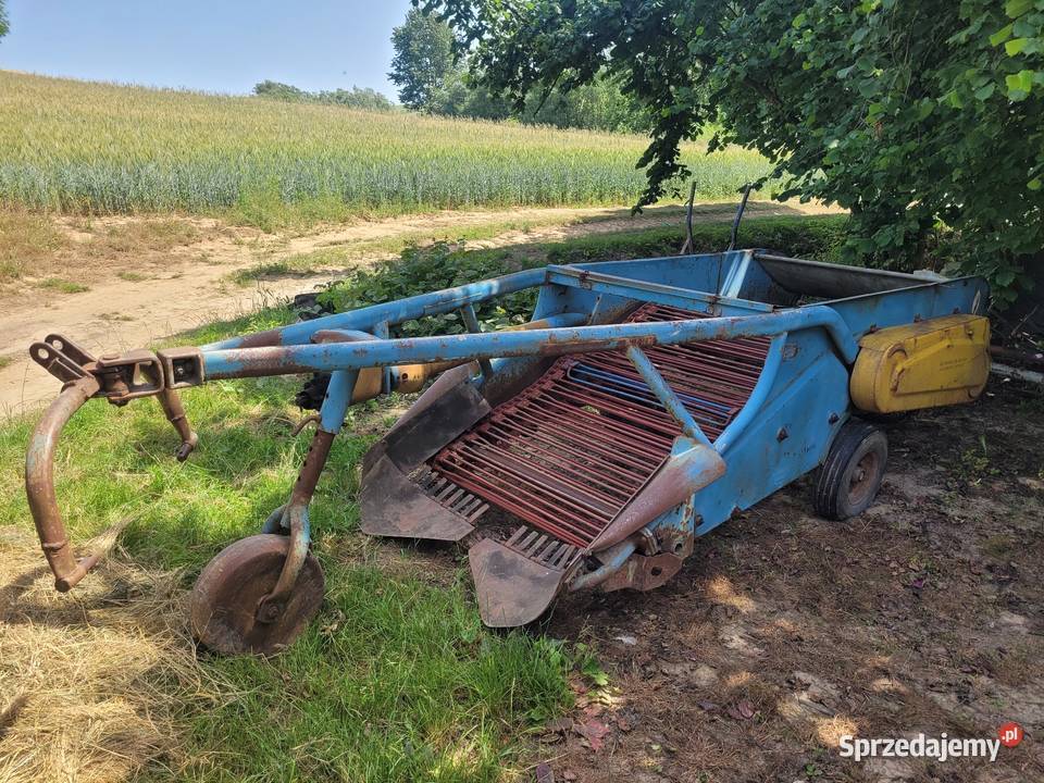 Kopaczka elewatorowa do ziemniaków Lelowice sprzedam