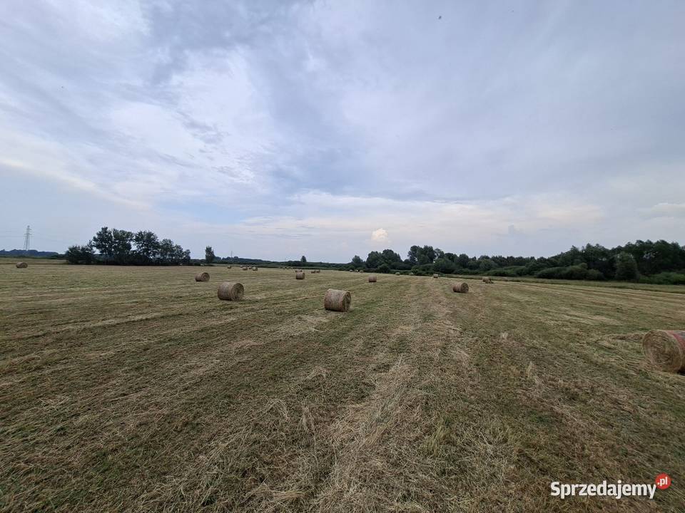 Sprzedam siano tegoroczne świeżo zrobione 68 Łęczna