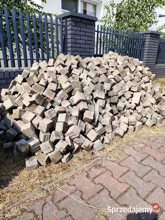 Kostka brukowa z kamyszkiem Gniezno
