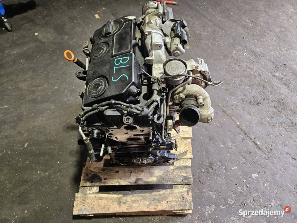 Uszkodzony Silnik VW BLS 19 TDI 105 Silniki kompletne Zgorzelec