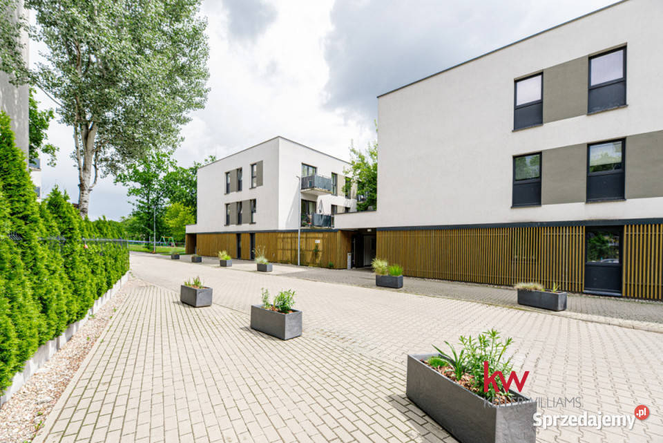 Do wynajęcia mieszkanie Poznań 16305m2 5 pokoi wielkopolskie sprzedam